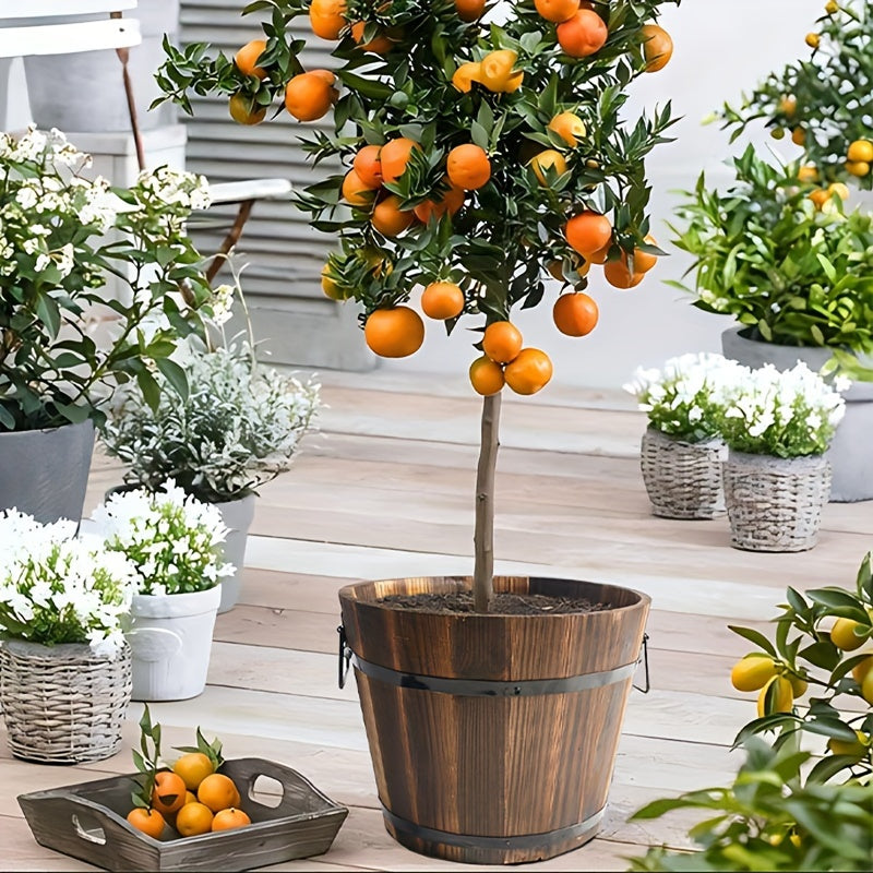 2pc Multi-functional Wooden Garden Bucket 2pc Whiskey Bucket Flowerpot Solid Wood Plant Flower With Water Outlet Multi-functional Indoor\u002Foutdoor Home Garden Ornament Home Storage Bucket Wooden Garden Tool Bucket